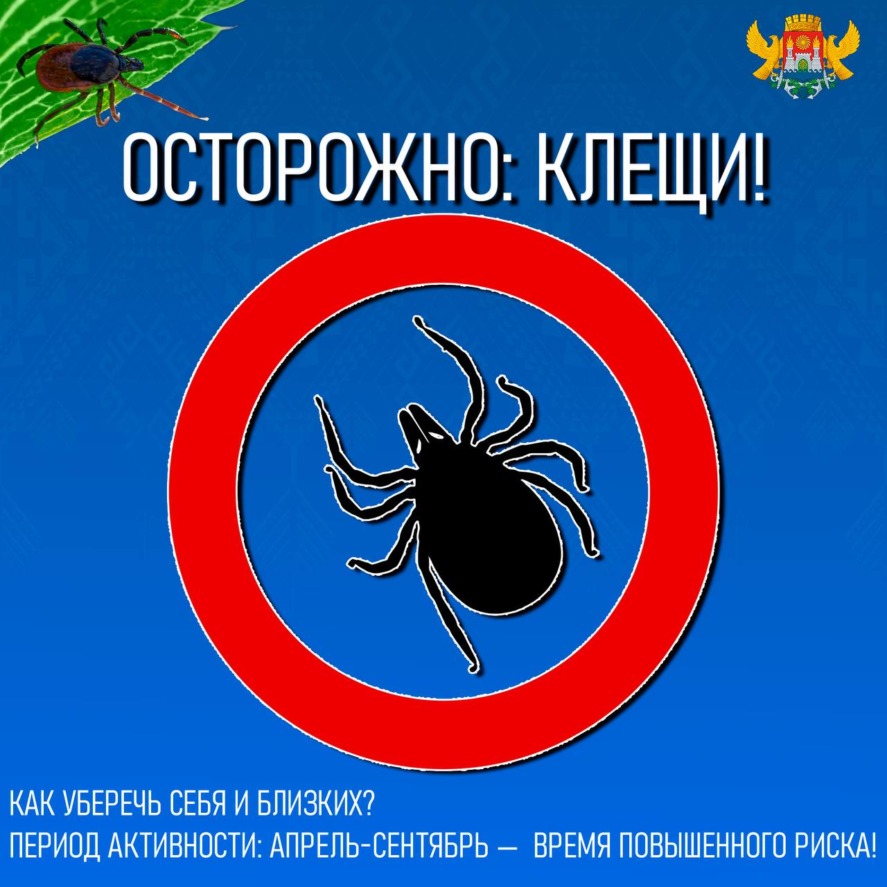 Осторожно: клещи! Как уберечь себя и близких?.