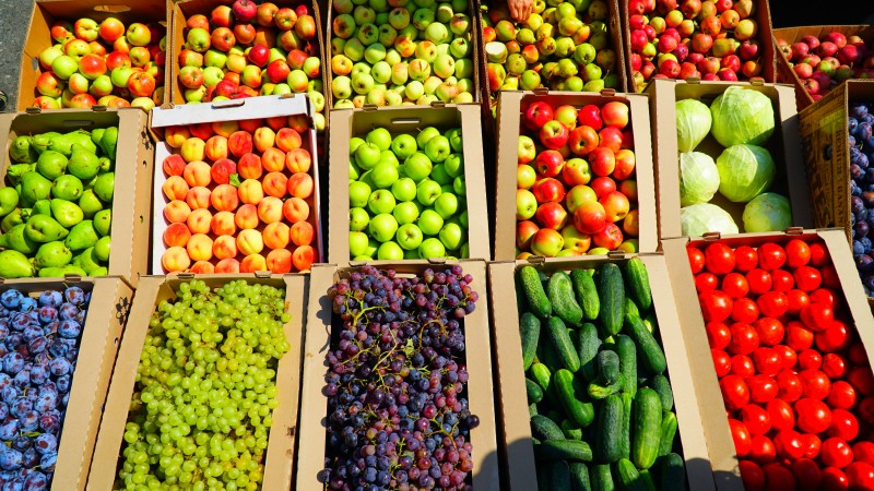 Достижение республики: мощность хранилищ плодоовощной продукции в 2024 году составила более 41 тысячи тонн.