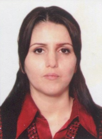 Меликова Диана Бахрудиновна.